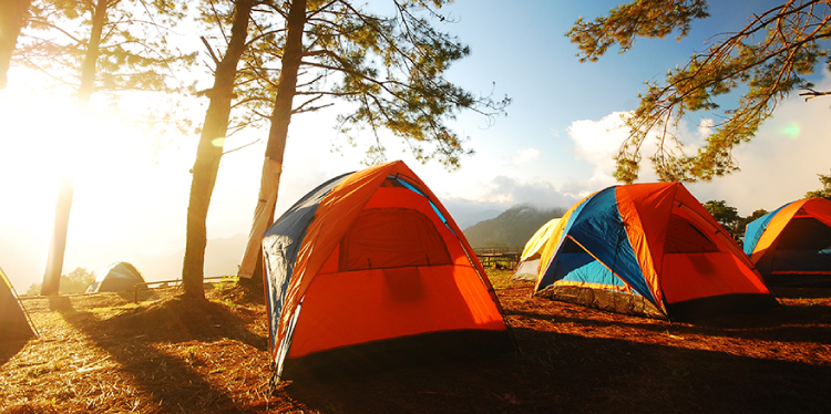 Three camping tents lined up outdoors with trees surrounding